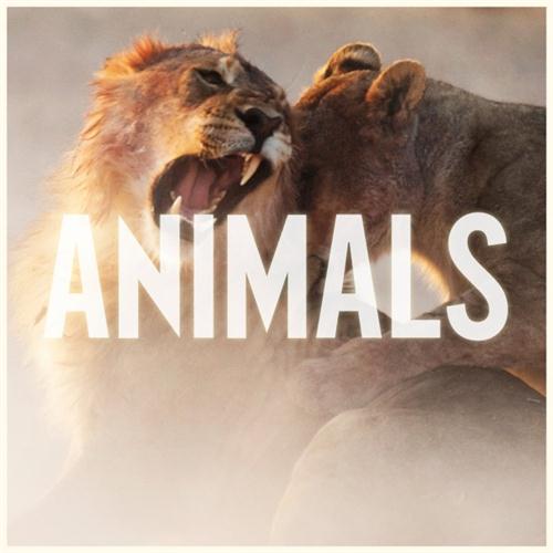 Maroon 5 Maroon 5, Animals, Piano, Vocal & Guitar (Right-Hand Melody)