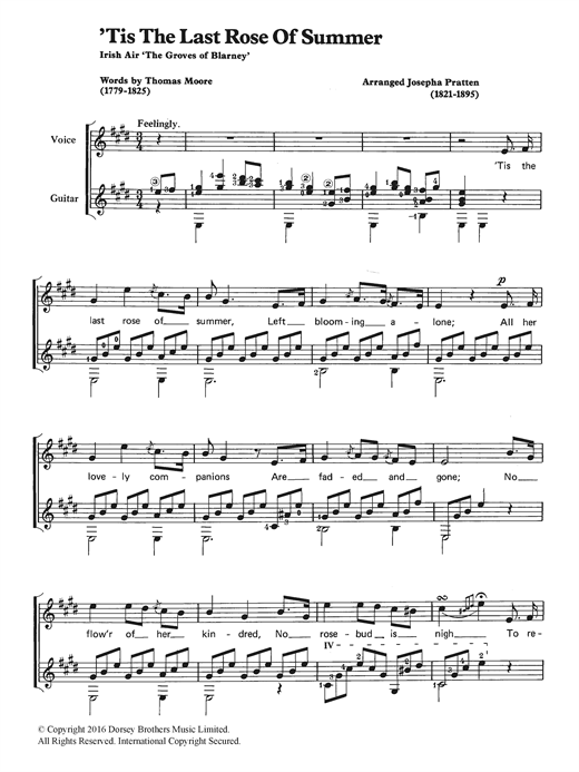 Preview Traditional 'Tis The Last Rose Of Summer Classical sheet music, notes and chords for Voice & Guitar, SKU: 122989 sheet music, piano notes, chords, guitar tabs, score, transpose, transcribe, how to play, guide, download, learn, tutorial, progression, song, artist, awards, billboard, mtv, vh1, tour, single, album, release