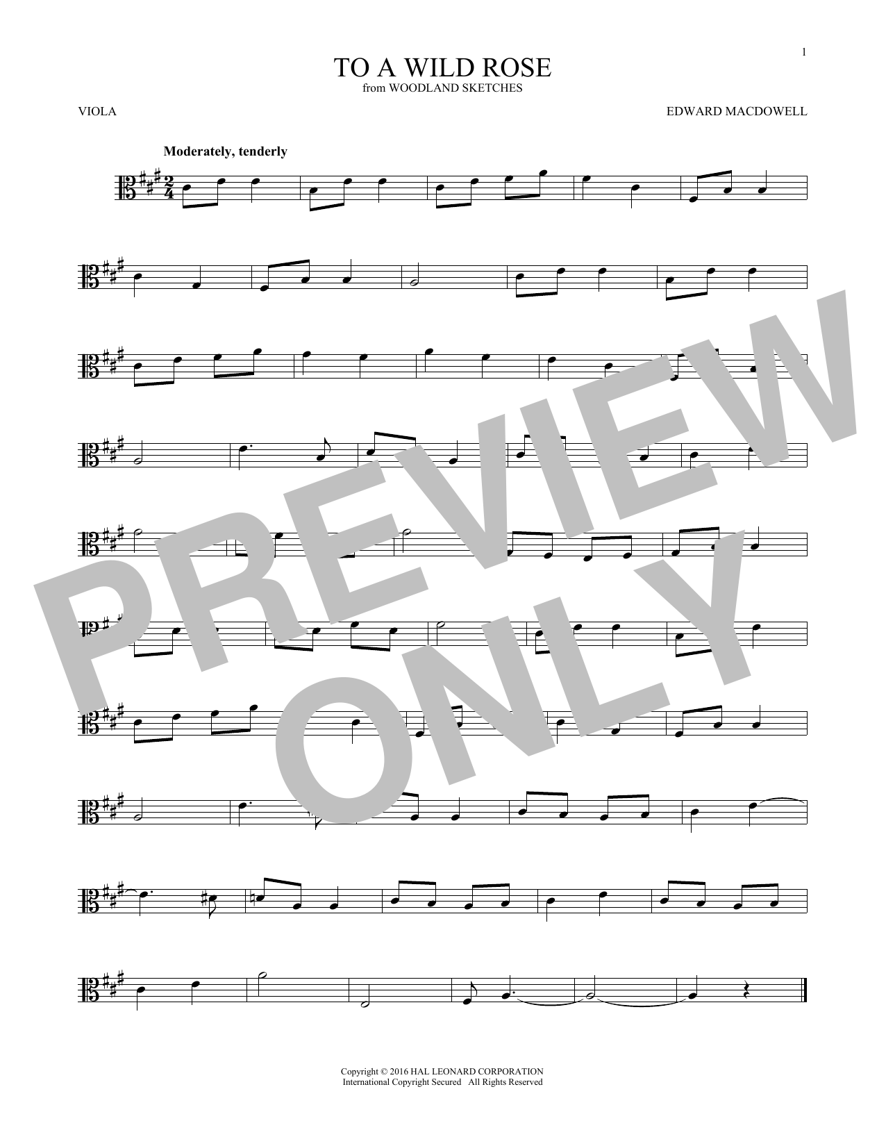 Preview Edward MacDowell To A Wild Rose, Op. 51, No. 1 Classical sheet music, notes and chords for Viola, SKU: 193086 sheet music, piano notes, chords, guitar tabs, score, transpose, transcribe, how to play, guide, download, learn, tutorial, progression, song, artist, awards, billboard, mtv, vh1, tour, single, album, release