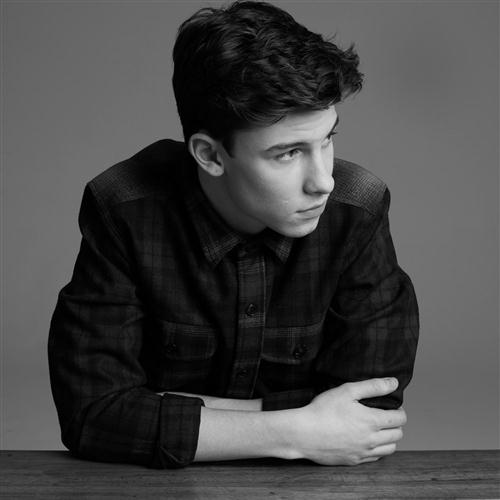 Shawn Mendes Shawn Mendes, There's Nothing Holdin' Me Back, ChordBuddy