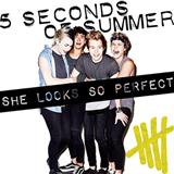 5 Seconds of Summer picture from She Looks So Perfect released 04/09/2014