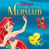 Alan Menken Part Of Your World (from The Little Mermaid) Sheet Music and PDF music score - SKU 182265