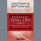 Albert Donaudy & Stefano Donaudy picture from Vaghissima Sembianza (arr. Samuel Baker) released 03/06/2019