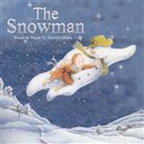 Howard Blake picture from Walking In The Air (theme from The Snowman) released 06/21/2005
