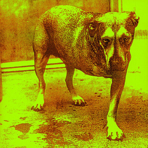 Alice In Chains Sludge Factory profile image