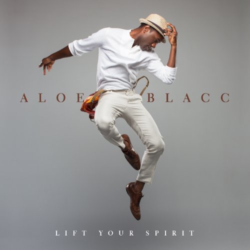 Aloe Blacc The Man profile image