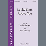 Ambroz Copi picture from Lucky Stars Above You released 05/16/2024