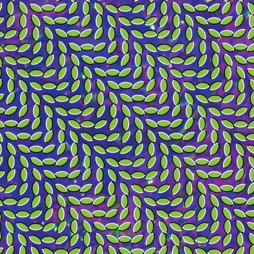 Animal Collective My Girls profile image