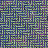 Animal Collective picture from My Girls released 01/02/2011