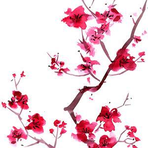 Audrey Snyder Sakura (Cherry Blossoms) profile image