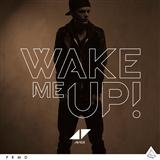 Avicii picture from Wake Me Up released 06/28/2021