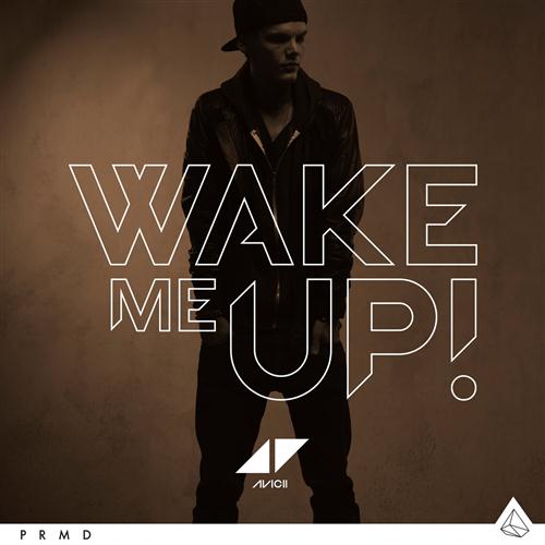 Avicii Avicii, Wake Me Up, Lyrics & Chords