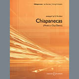 B. Dardess picture from Chiapanecas (Mexican Clap Dance) - Viola released 08/26/2018