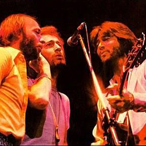 Bee Gees profile Bee Gees Butterfly profile image
