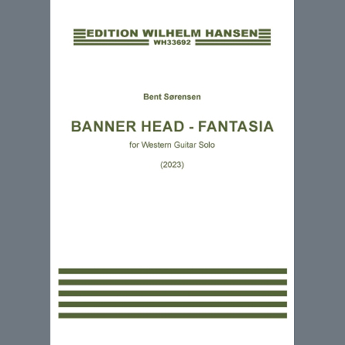 Bent Sørensen Banner Head - Fantasia profile image