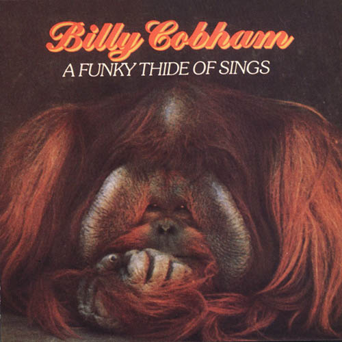 Billy Cobham Light At The End Of The Tunnel profile image