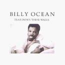 Billy Ocean The Colour Of Love profile image