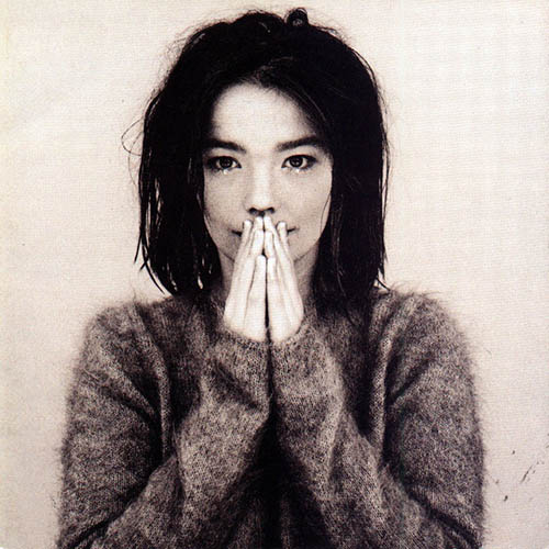 Bjork The Anchor Song profile image