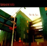 Black Lab picture from Learn To Crawl released 08/21/2002