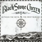 Black Stone Cherry picture from White Trash Millionaire released 07/20/2011
