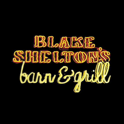 Blake Shelton Goodbye Time profile image