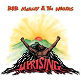Bob Marley picture from Could You Be Loved released 04/06/2011