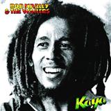 Bob Marley picture from Is This Love released 04/23/2003