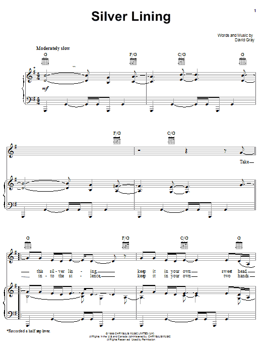 Download Bonnie Raitt Silver Lining sheet music and printable PDF score & Rock music notes