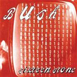 Bush picture from Glycerine released 05/27/2022