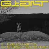 Calvin Harris & Rag'n'Bone Man picture from Giant released 01/11/2019