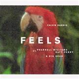 Calvin Harris picture from Feels (feat. Pharrell Williams, Katy Perry & Big Sean) released 06/13/2024