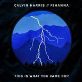 Calvin Harris featuring Rihanna picture from This Is What You Came For released 06/15/2016