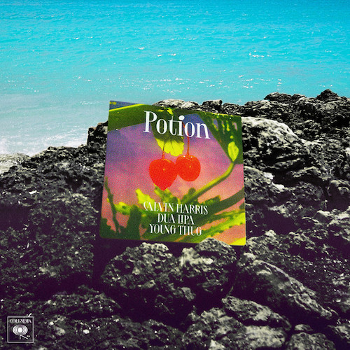 Calvin Harris profile Calvin Harris Potion (with Dua Lipa & Young Thug) profile image