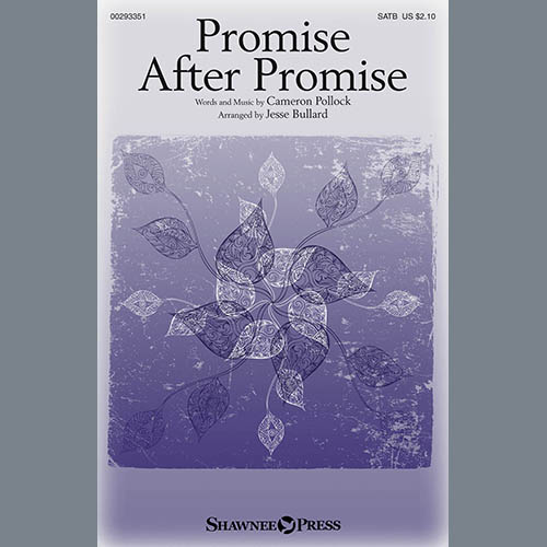 Cameron Pollock Promise After Promise (arr. Jesse Bu profile image