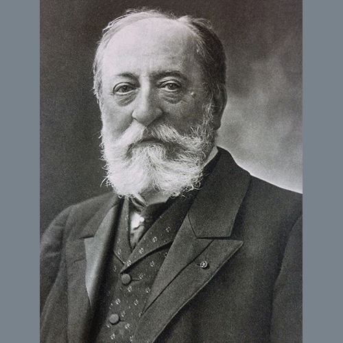 Camille Saint-Saens Moto Perpetuo, Op. 135, No. 3 profile image