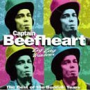 Captain Beefheart picture from I'm Glad released 05/07/2015