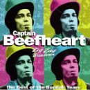 Captain Beefheart Captain Beefheart, I'm Glad, Lyrics & Chords
