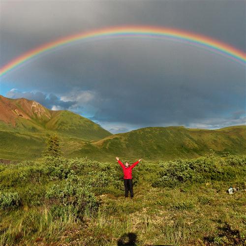 Henry Carroll I'm Always Chasing Rainbows profile image