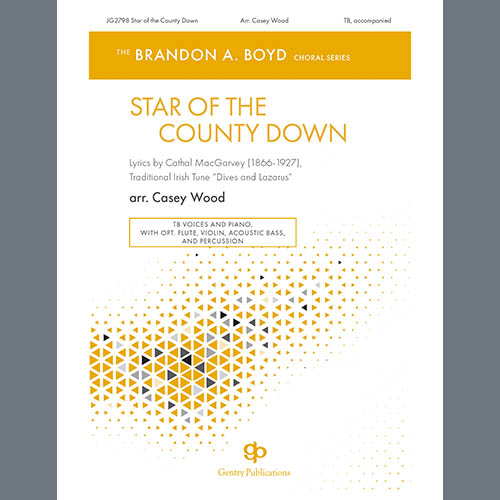 Casey Wood Star of the County Down profile image