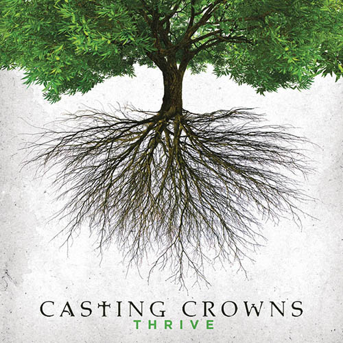 Casting Crowns Dream For You profile image