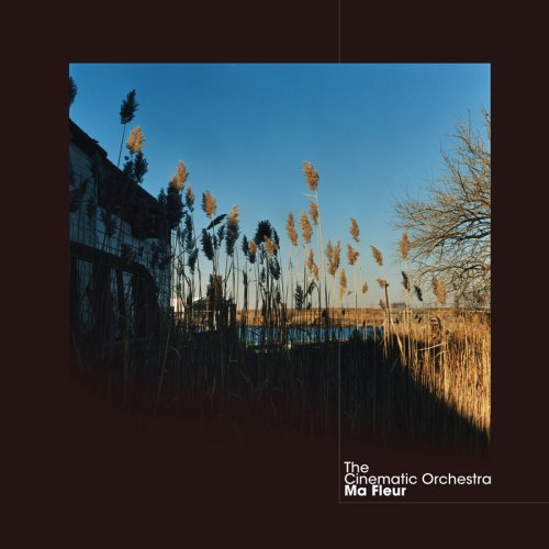 Cinematic Orchestra To Build A Home profile image