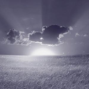 Timothy Shaw Now Shall My Inward Joys Arise 156465