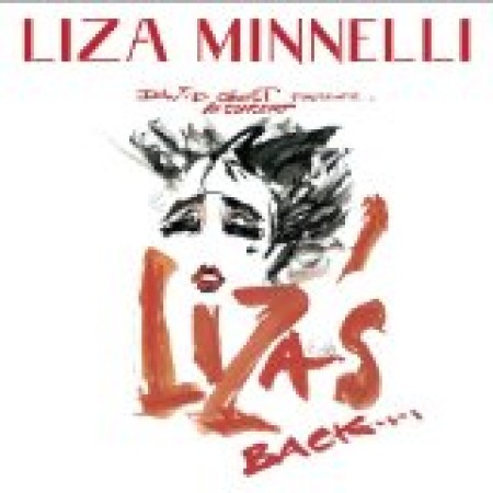 Liza Minnelli Mein Herr (from Cabaret) 27507