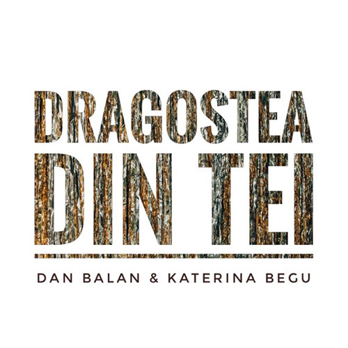 Dan Balan Dragostea Din Tei profile image
