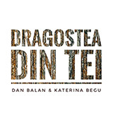 Dan Balan picture from Dragostea Din Tei released 03/04/2009