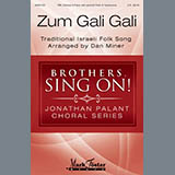 Dan Miner Zum Gali Gali Sheet Music and PDF music score - SKU 410399