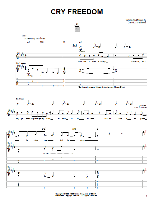 Preview Dave Matthews & Tim Reynolds Cry Freedom Rock sheet music, notes and chords for Guitar Tab, SKU: 72441 sheet music, piano notes, chords, guitar tabs, score, transpose, transcribe, how to play, guide, download, learn, tutorial, progression, song, artist, awards, billboard, mtv, vh1, tour, single, album, release