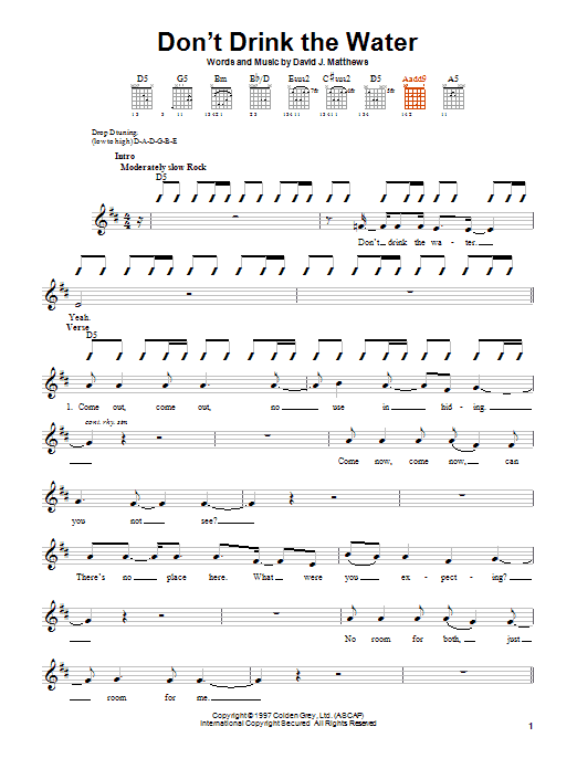 Download Dave Matthews Band Don't Drink The Water sheet music and printable PDF score & Rock music notes
