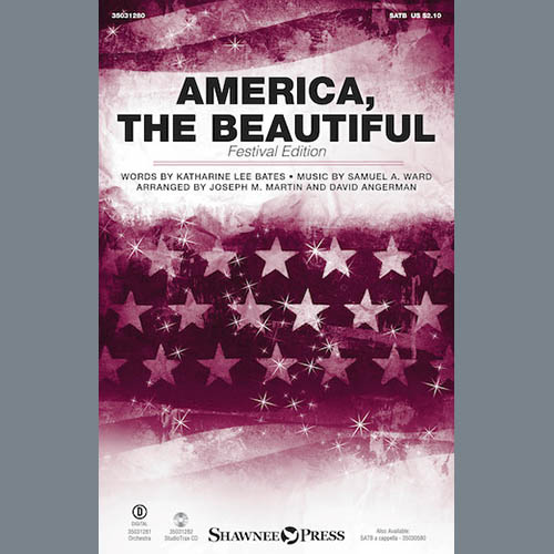 David Angerman America, The Beautiful - Festival Ed profile image