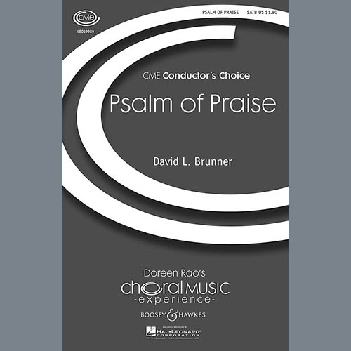 David Brunner Psalm Of Praise profile image